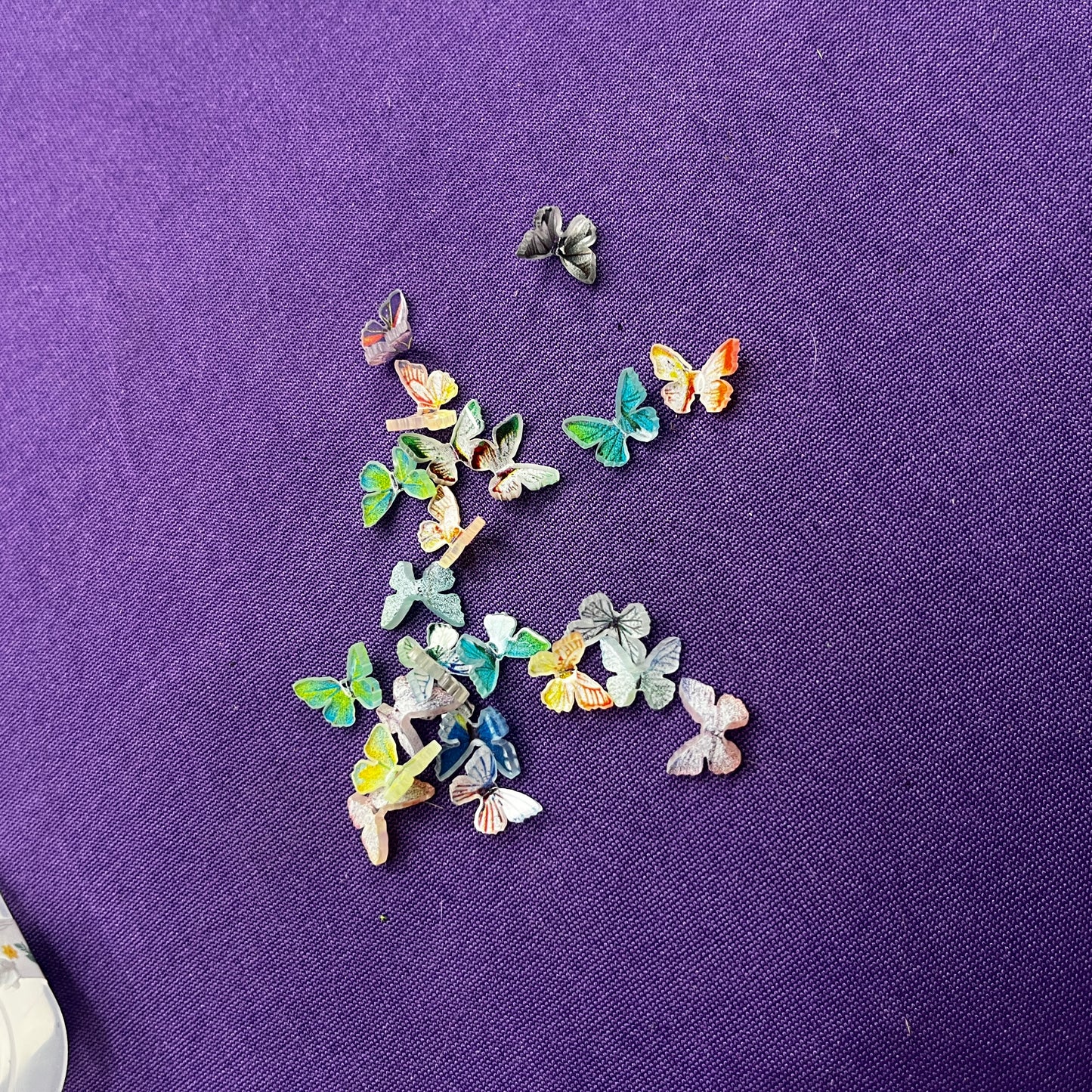 Tiny Butterfly
