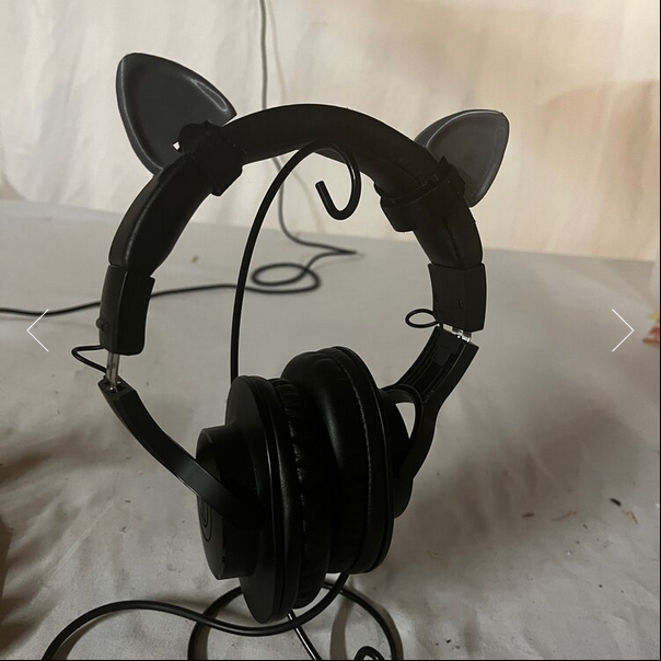 Raccoon Ears